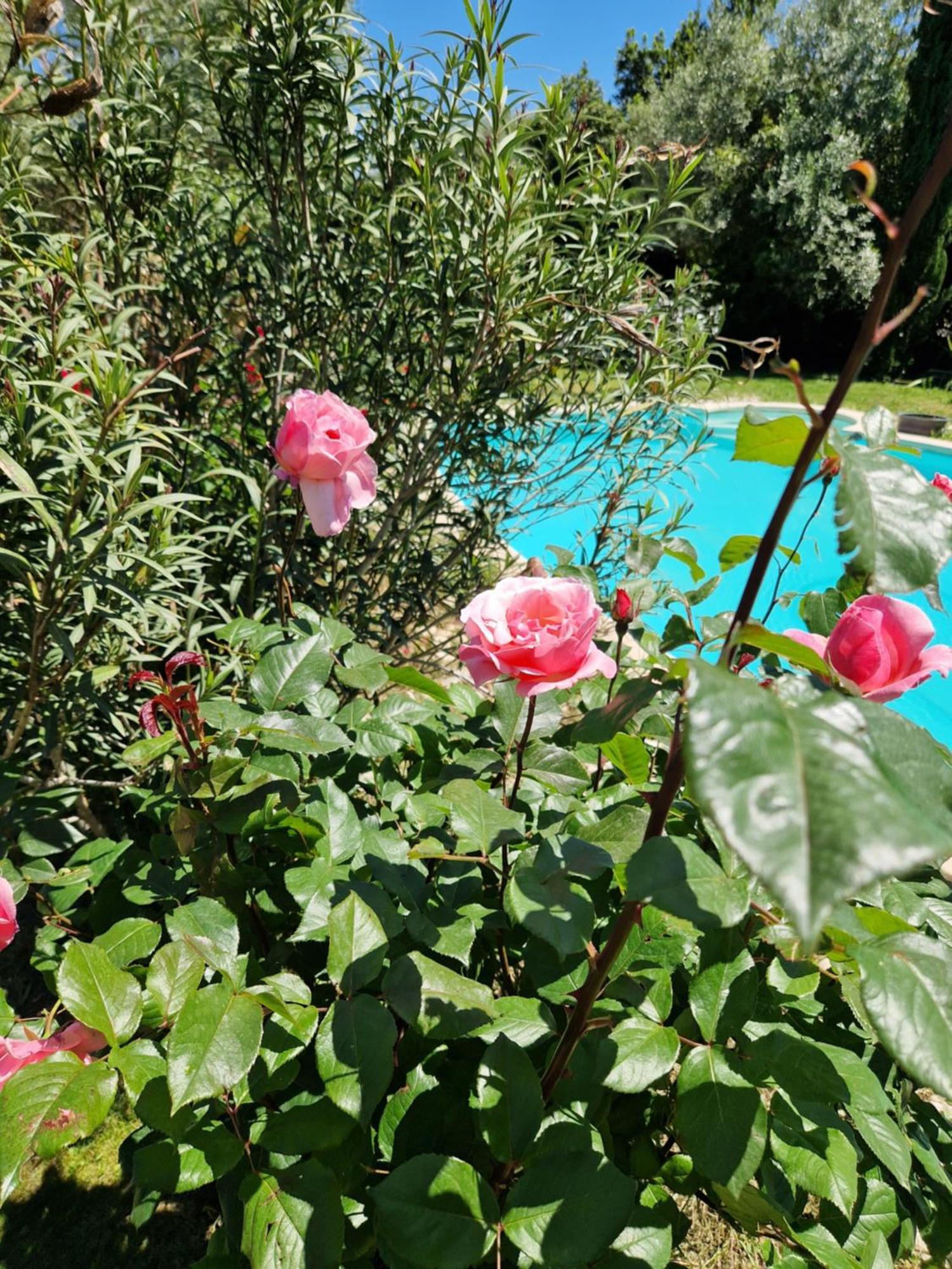 Le Jardin Serein Salindres Extérieur photo